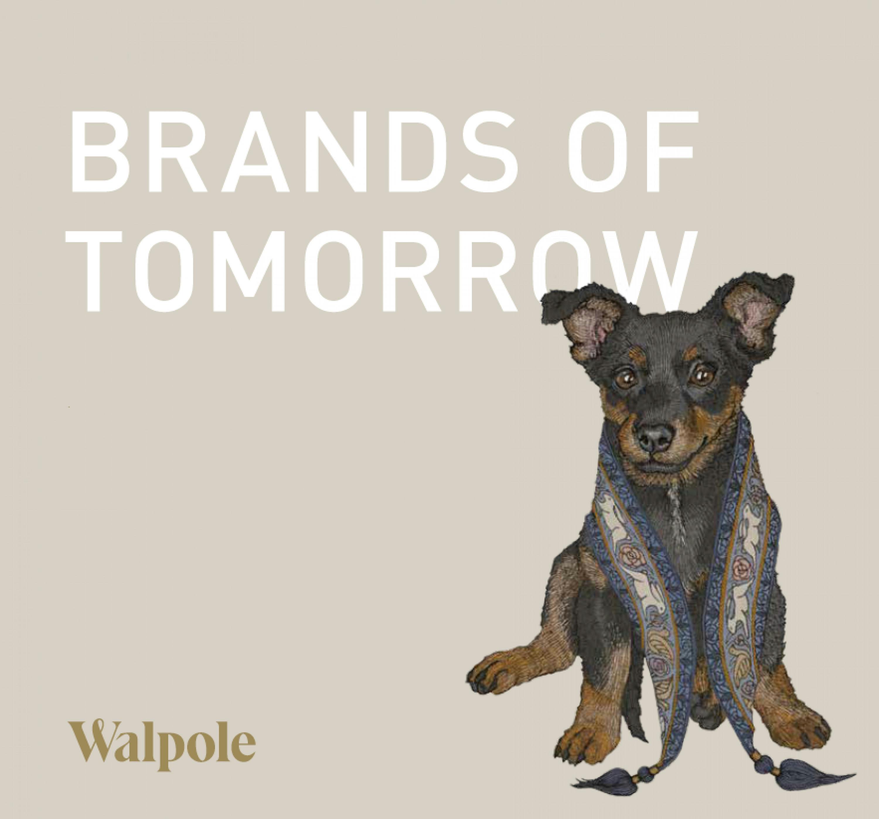 The Walpole Brands of Tomorrow Class of 2021 Farewell Drinks
