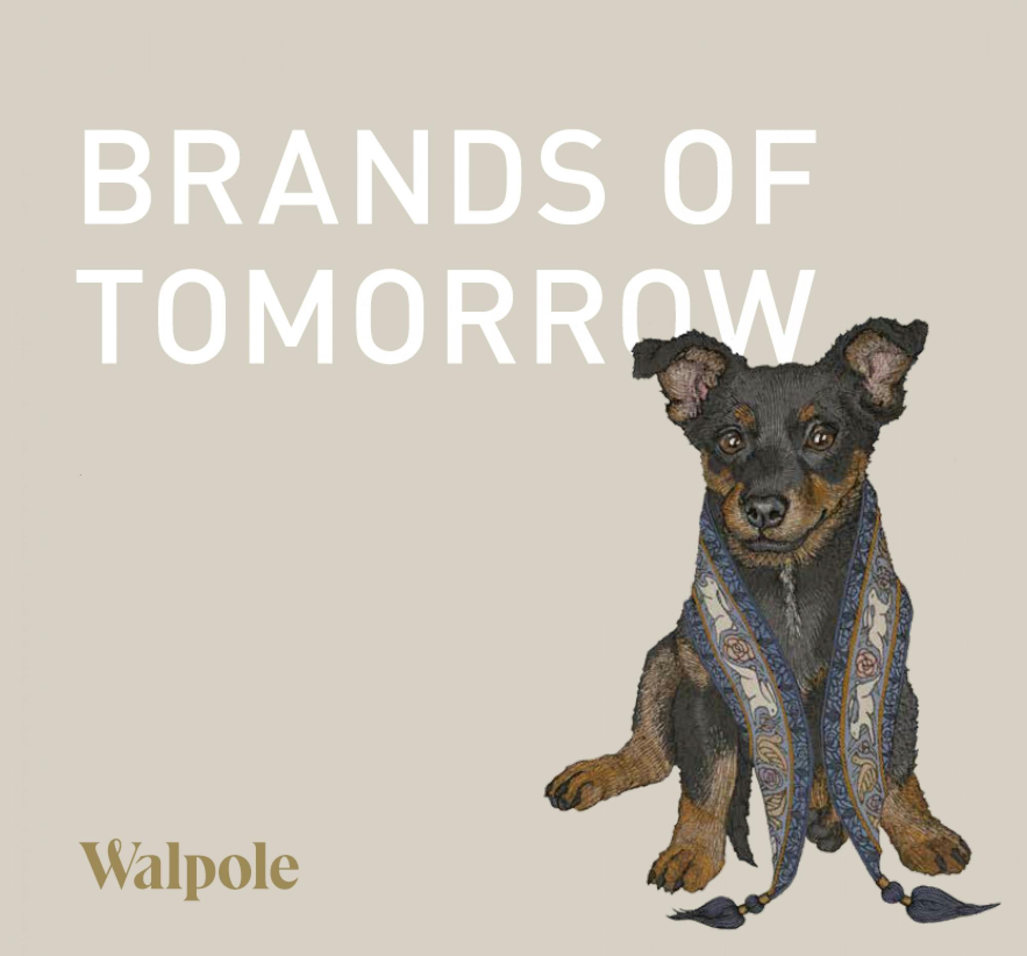 Brands of Tomorrow Who will be the next big thing in British luxury? Tell us about the brands you love... 